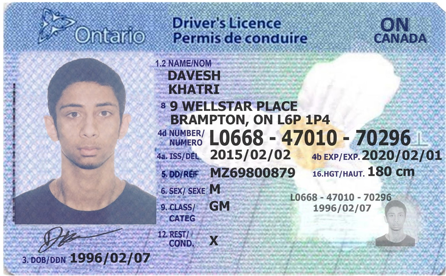 Canada (Ontario) Driver License