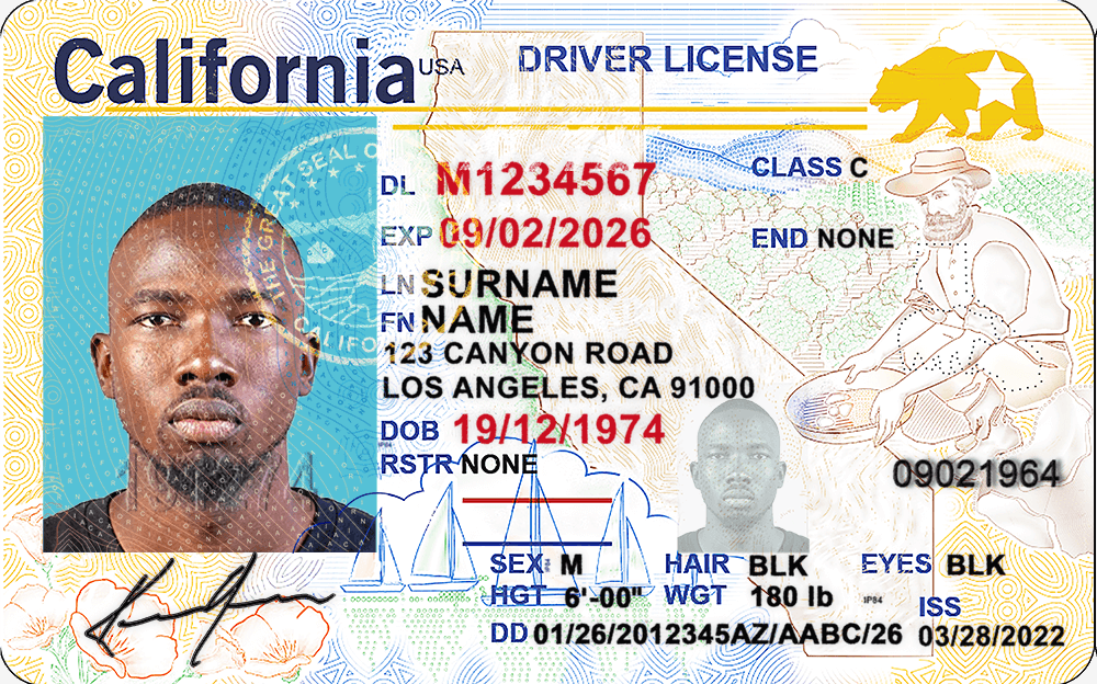 California Driver License (NEW 021)