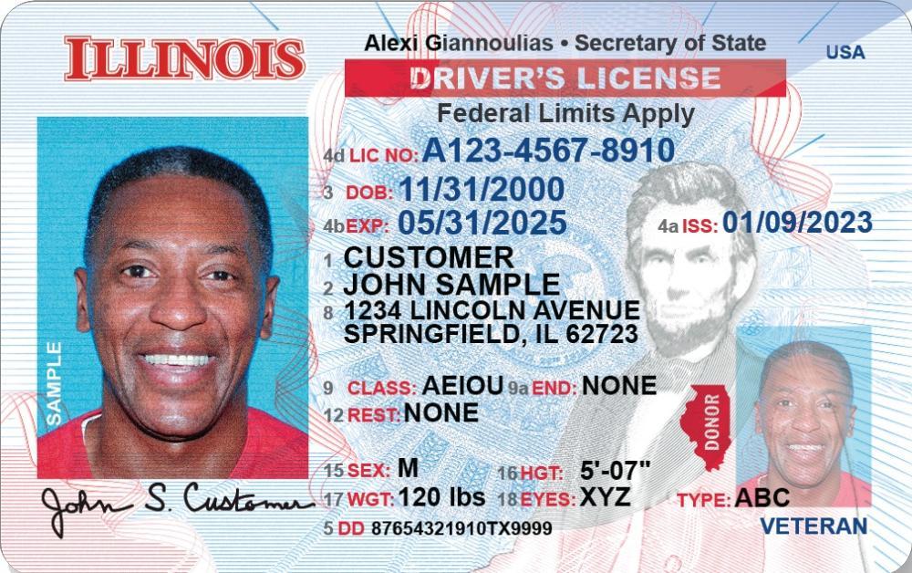 Illinois Driver License (New IL)