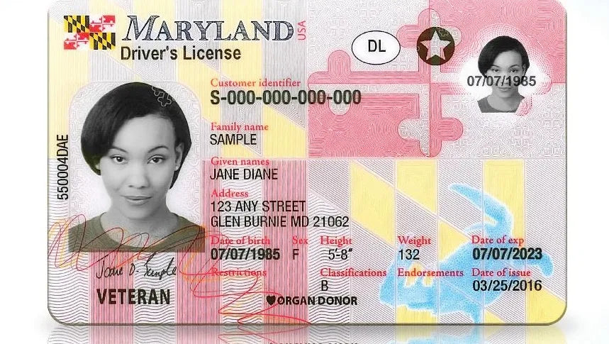 Maryland Driver License (New MD)