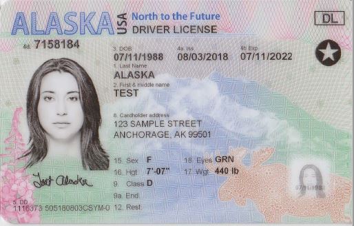 Alaska Driver License(AK)