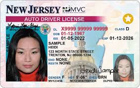 New Jersey Driver License (NJ)