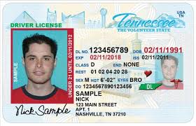 Tennessee Driver License (TN O21)