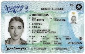 Wyoming Driver License (WY)