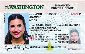 Washington Driver License (New WA)