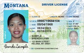 Montana Driver License (MT)