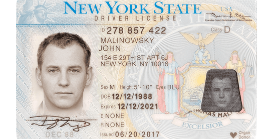 New York Driver License (NEW 021)